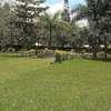 Okello's Holiday Home