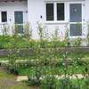 Le Betulle B&B