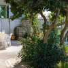 Villa Scirocco 30 Metri Dal Mare
