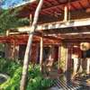 Eco chic jungle retreat