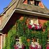 Haus am Tannenhain