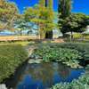 Spello By The Pool - Sleeps 11 - close to Spello c