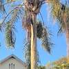 Palm Ridge Holiday Home