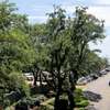 Myrtle Beach Resort A347