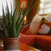 Tropical Disco 4 Bed Pool Home Near Beach