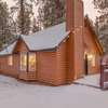 Modern Sherwood Forest