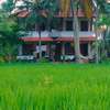 Paddy Farm Heritage