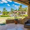 Palms 5
