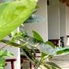 Coconut Beach Hotel