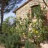 Le Vigne del Grillo