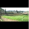 Neel's Farm House