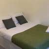 Great Value Room Fern 3