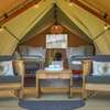 Amazing Safari Tent at BeeWeaver Honey Farm
