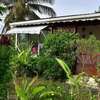 Bungalow tropical