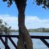 Docas da Lagoa