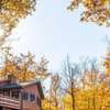 Fall Getaway Resort-3 KING suites, Dog-Friendly