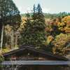 LATERAL - Vacation STAY 96079v