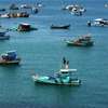 Isla Melocotón Sor310 Phú Quốc