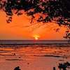 The Exile Sunset Bar & Bungalow