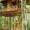 Tree Houses Hotel Costa Rica