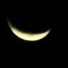 Luna lunera