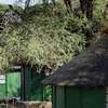 Ruaha Bandas ,Accommodation & Safari