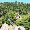 Binga Beach Palawan Glamping