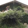 Gîte Tucolet