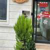 Sweet Home Hotel Taksim