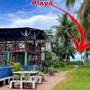 Hotel Tortuguero News