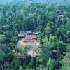 Bungalow369