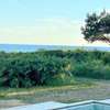 Stunning Ocean View and Private Beach