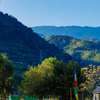 Chanshal Camps and Resort - Chirgaon (Rohru)