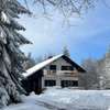 Chalet Mint