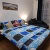 Apartmán v Krušných horách-free parking