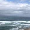 Ocean Bliss
