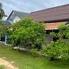 Green House