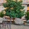 Mentto Hotel