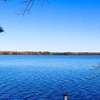 Lakeside Pines