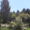 Camping with your own tent, Camp Eucalyptus