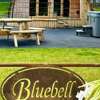 Bluebell