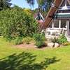 Ferienhaus Heide Knirps