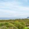 Sunny Crest - UK34724