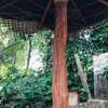 The Peace Forest Villa