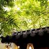 The Lovenote Home