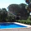 Casa Bellissima