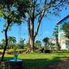 Homestay Dambri