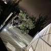 Boreal Spaceliving - Glamping Aeropuerto