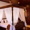 Aglaonema Resort