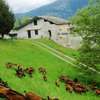 Borgo nella natura Ca' di Facch